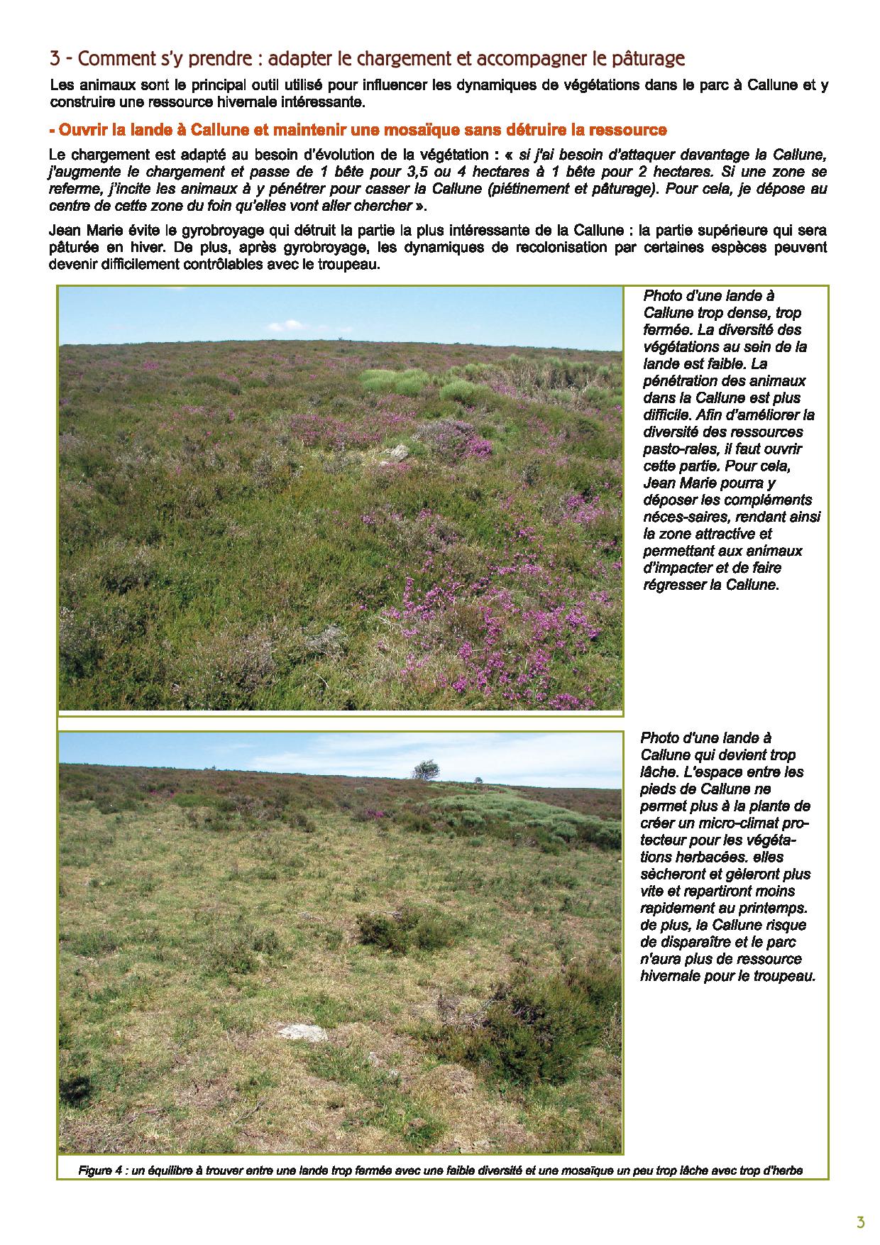 Les landes a Callune une ressource souple pour le paturage avril 2015 page 003