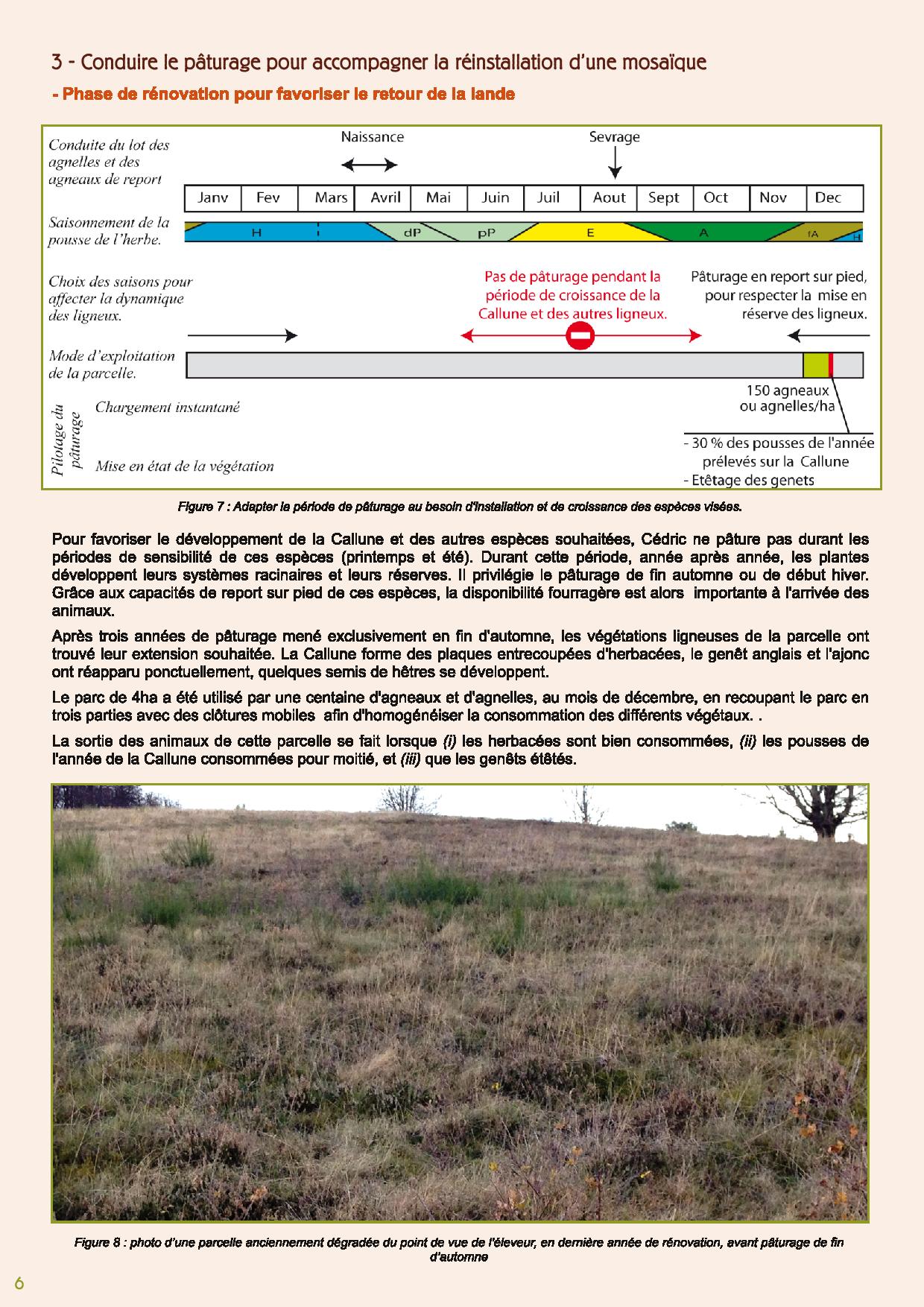 Les landes a Callune une ressource souple pour le paturage avril 2015 page 006