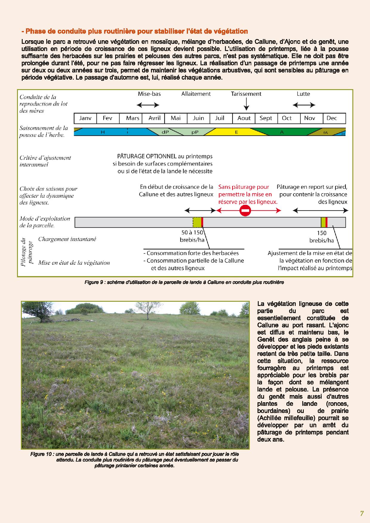 Les landes a Callune une ressource souple pour le paturage avril 2015 page 007