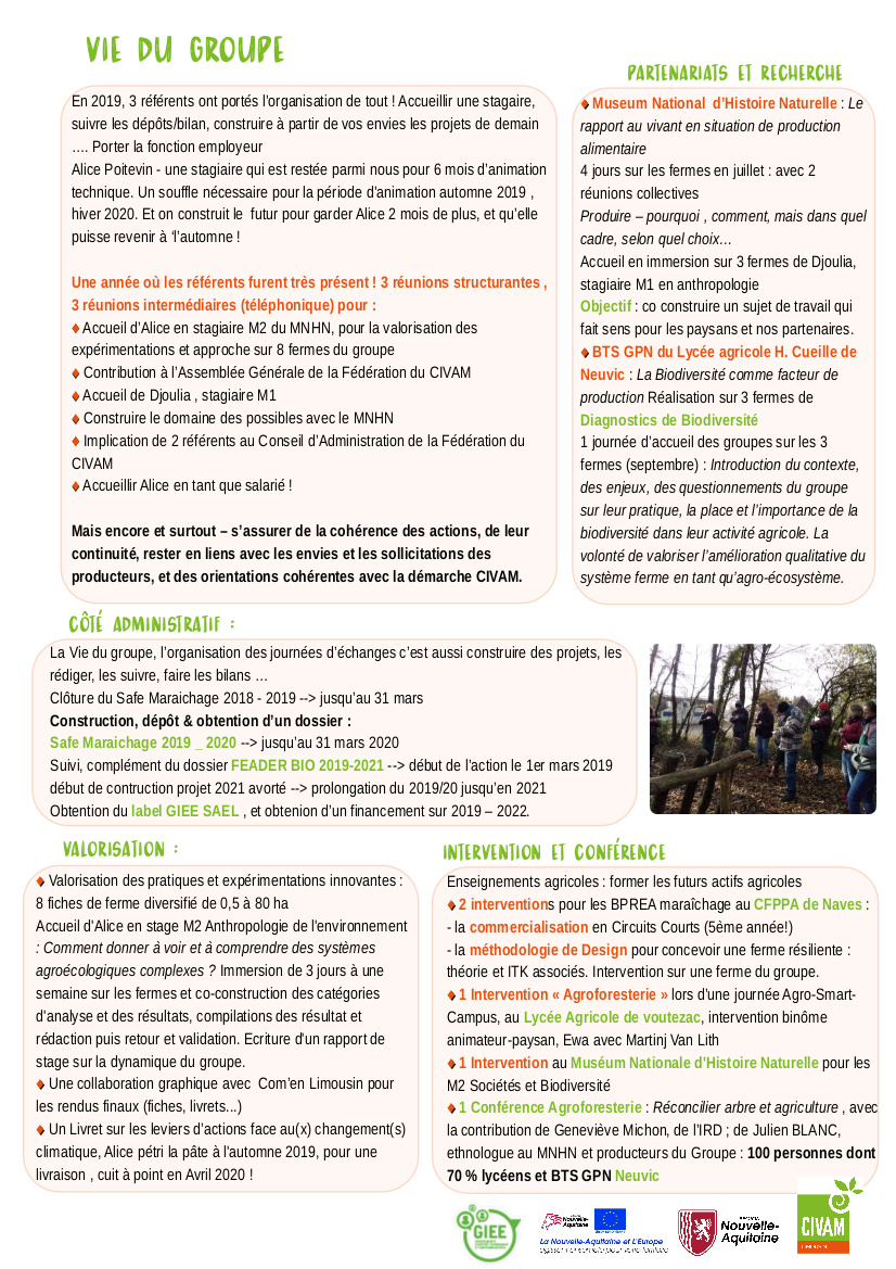 rapport activité SAEL p2