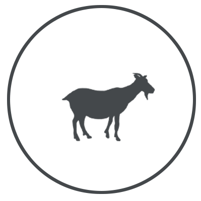 icone chevre