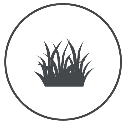 icone herbe